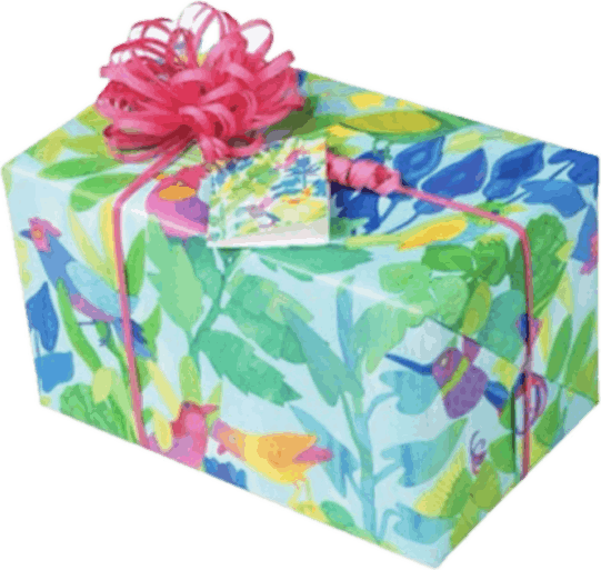 il paese dei balocchi